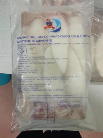 SALPESCA® CALAMARI PULITI U5 BLOCCO 6X2KG(1,4KG) GLASS.30% - CHINA