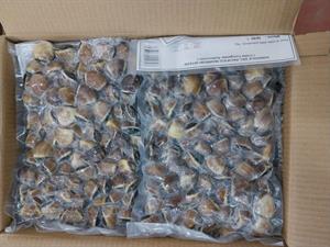 VONGOLE DEL PACIFICO C/GUSCIO 1KGX10PZ - 60/80 BROWN VIETNAM