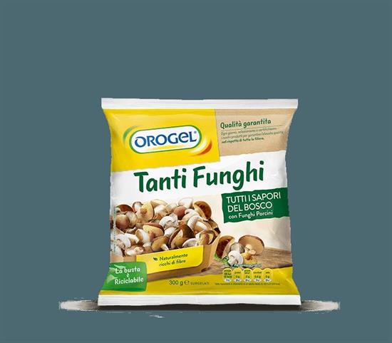 TANTI FUNGHI (misto di funghi) 300GX8PZ OROGEL RETAIL