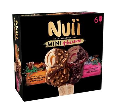 6 NUII MINI CARAMELLO SALATO E CIOCCOLATO E MIRTILLI 253GX6