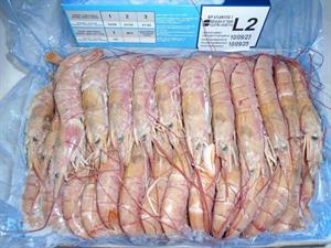 GAMBERI ARGENTINI L2 BORDO 20/30 2KG NEWSANFOOD