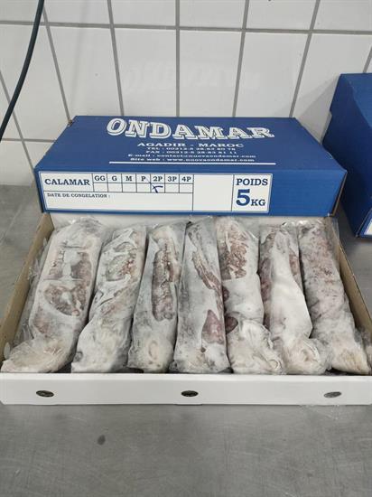 CALAMARI MAROCCO 2P IWP 5KG - GLASS.0% ONDAMAR