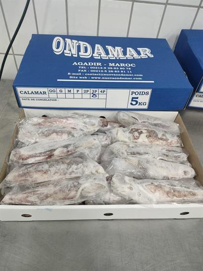 CALAMARI MAROCCO 3P IWP 5KG - GLASS.0% ONDAMAR