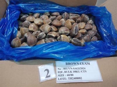 SALPESCA® VONGOLE DEL PACIFICO C/GUSCIO 10KG BULK - 60/80 BROWN VIETNAM