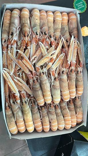 SCAMPI LABADIE 15-20 3KG IRLANDA GLASS.0%