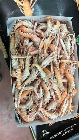 SCAMPI LABADIE 31-40 3KG IRLANDA GLASS.0%