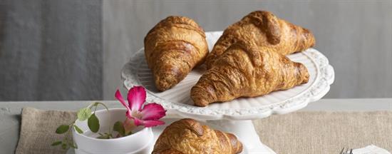 CROISSANT ALBERGO VUOTO 100PZX50G