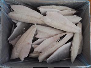 BRANZINO FILETTI 120/160 KG5        GLASS.20%-OLANDA-TURCHIA