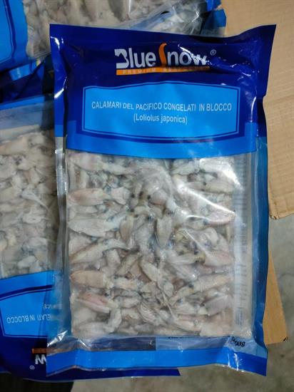 CALAMARI PUNTILLA 3/5 CM BLOCCO 1KG(900G)X12 - GLASS.10% FAO61