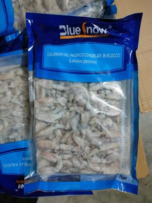 CALAMARI PUNTILLA 3/5 CM BLOCCO 1KG(900G)X12 - GLASS.10% FAO61