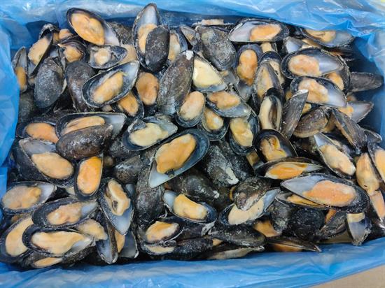 COZZE MEZZO GUSCIO 80/100 11KG(9,9KG) CILE - GLASS.10%